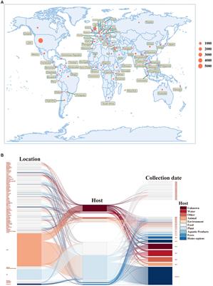 Genetic characteristics and integration specificity of Salmonella enterica temperate phages